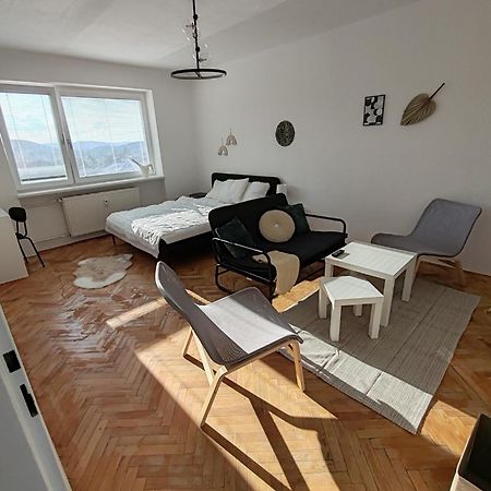 Apartman Brezinova Brno Buitenkant foto
